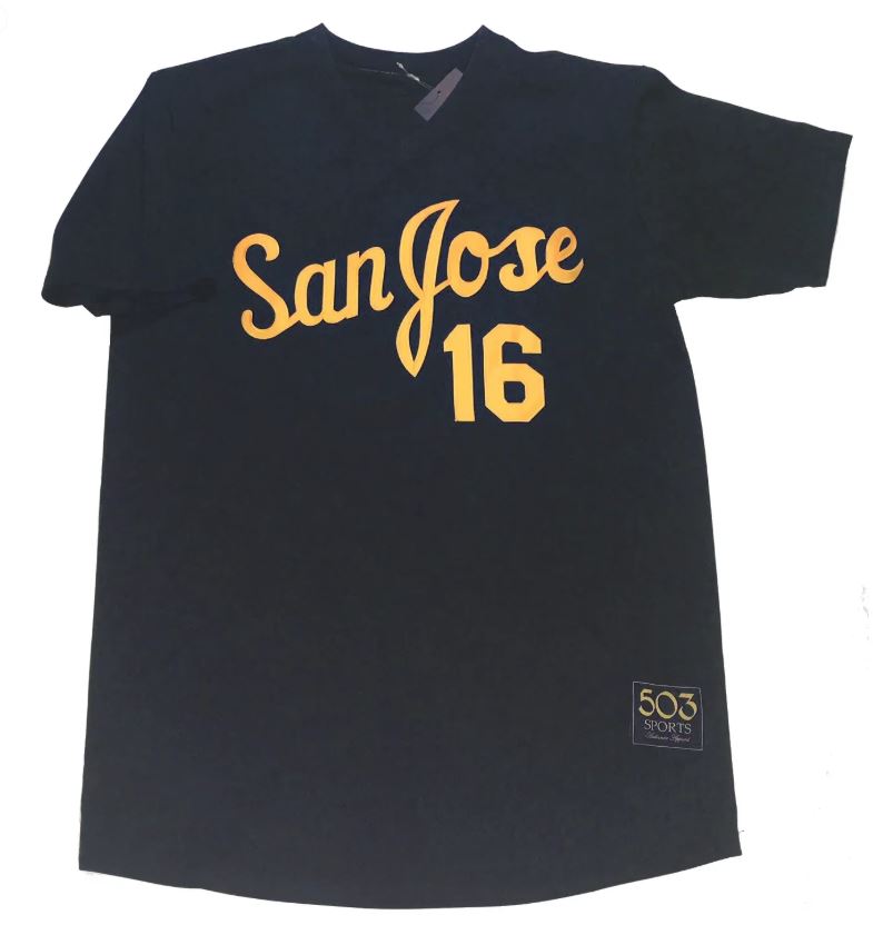 San Jose Bees Jersey